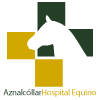 Aznalcóllar Hospital Equino