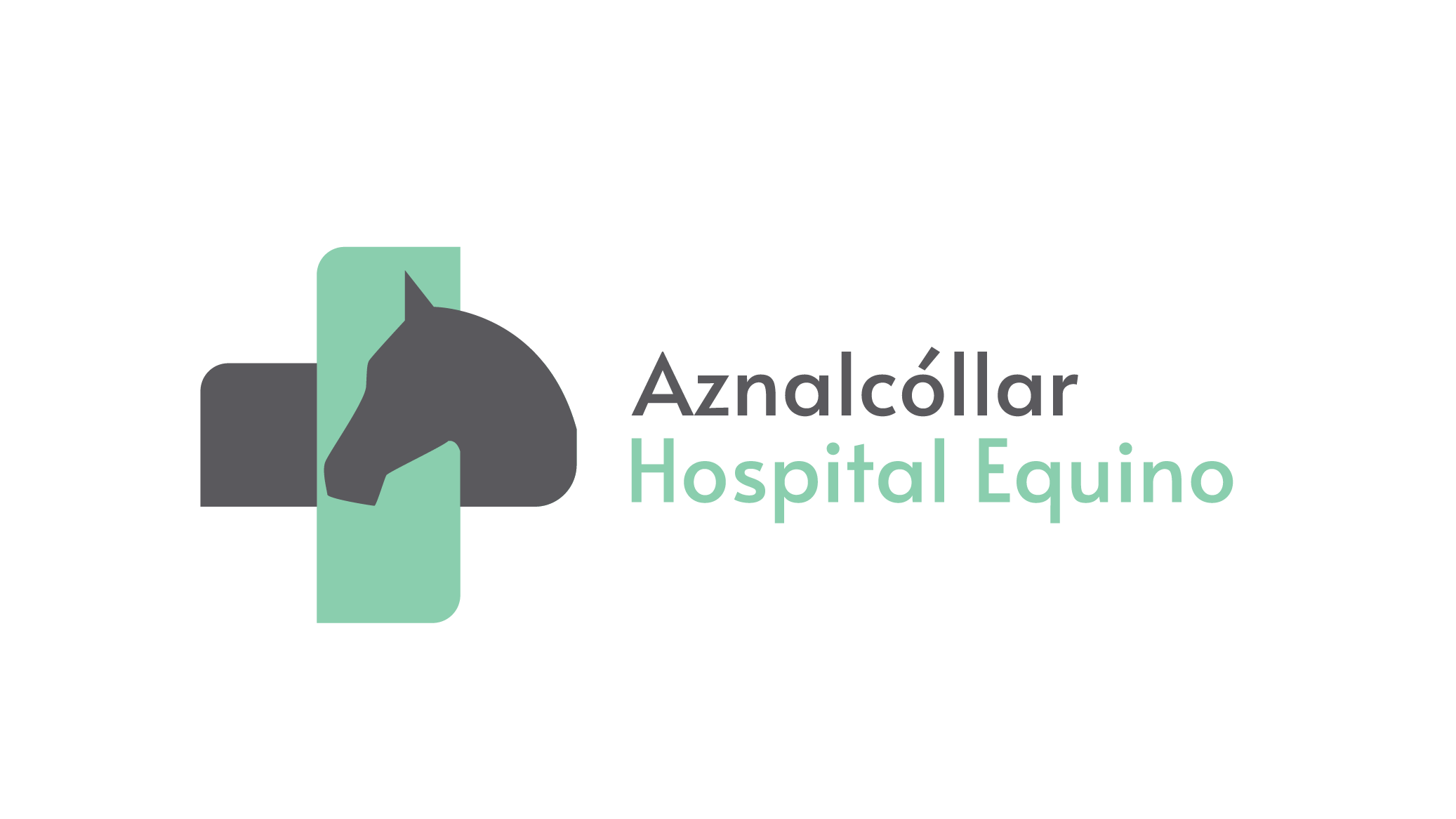 Aznalcóllar Hospital Equino