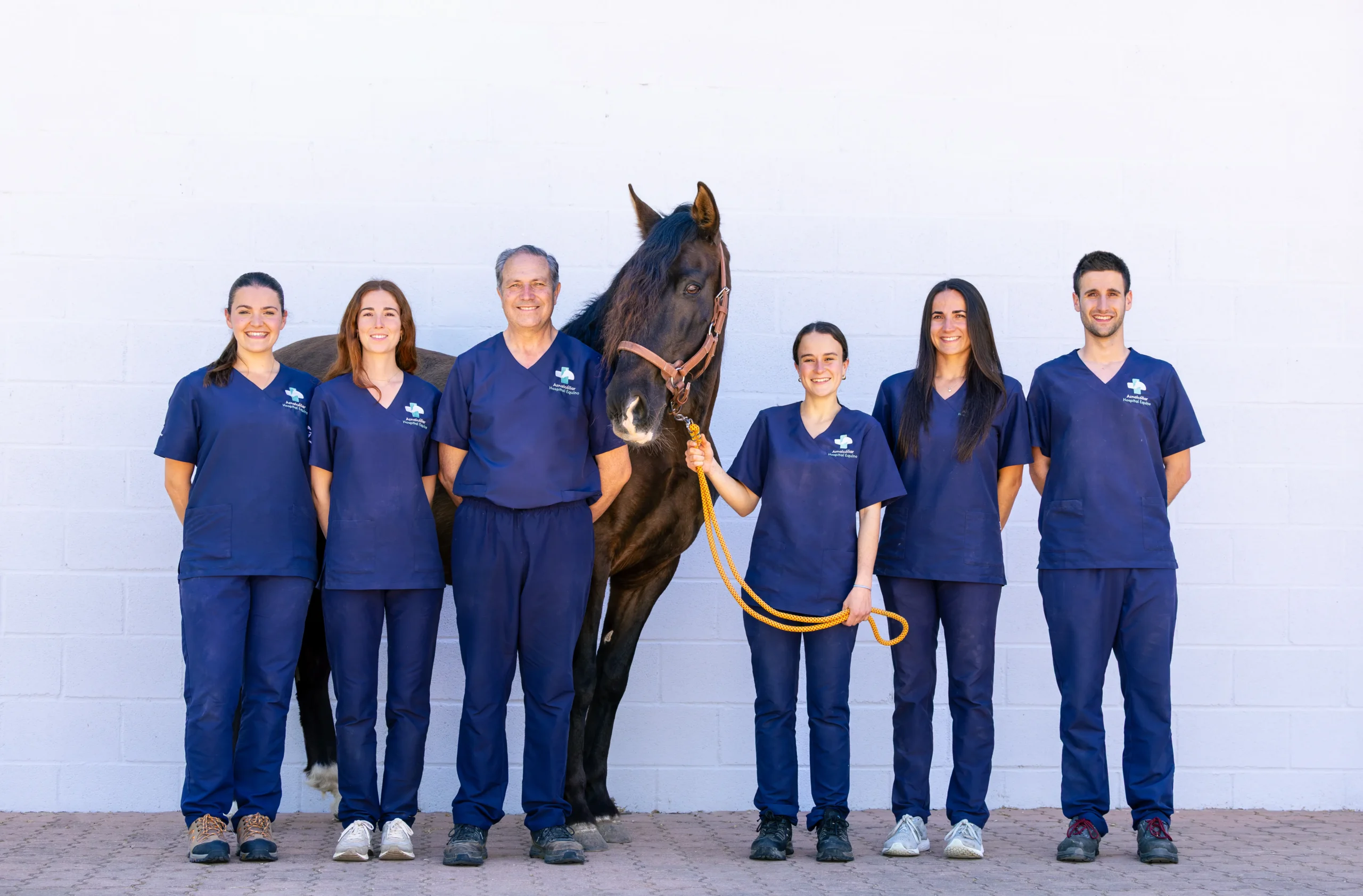 Equipo del Hospital Equino Aznalcóllar