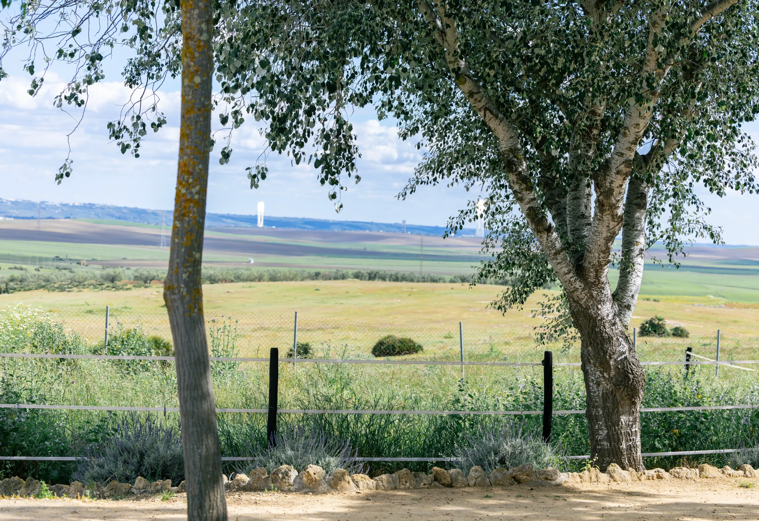 Vista panorámica de la finca y entorno natural de Aznalcóllar Hospital Equino
