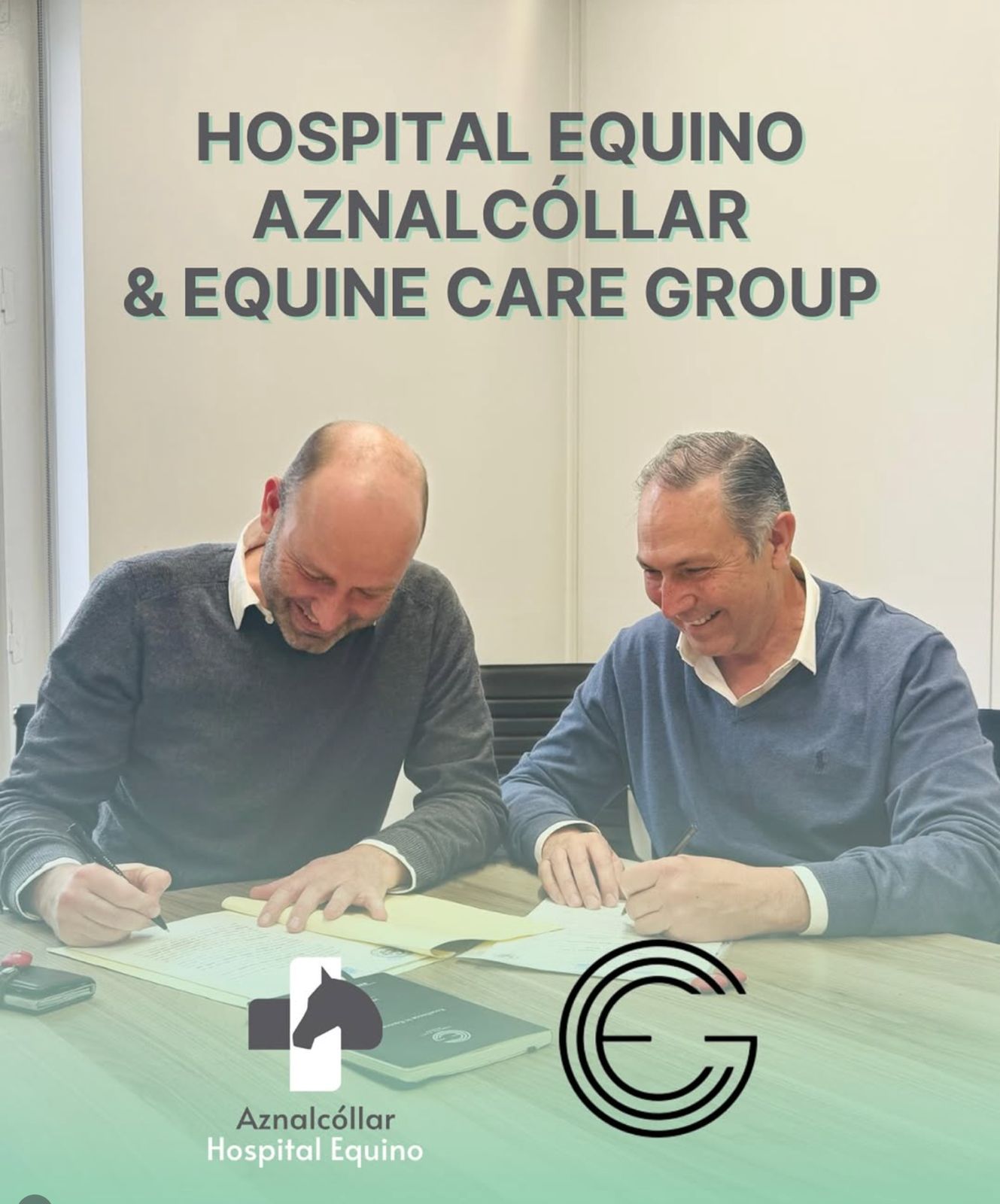 Instalaciones Aznalcóllar Hospital Equino
